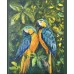 Parrots -exotic oil painting 
